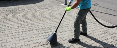 Css Template Preview