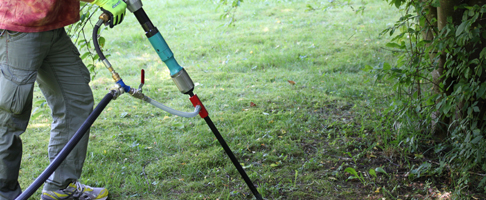 Css Template Preview