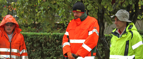 Css Template Preview